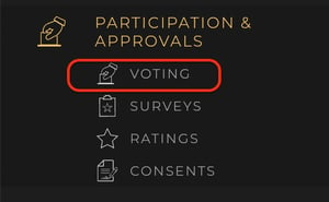 Participation - Voting-jpg